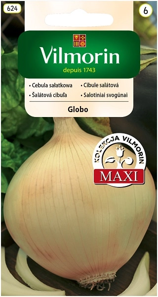 Vilmorin cebula-salatkowa-globo nasiona sklep rajogrodnika